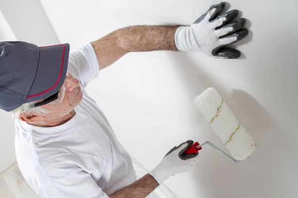 Professional Dry wall and painting in Hamilton, IL